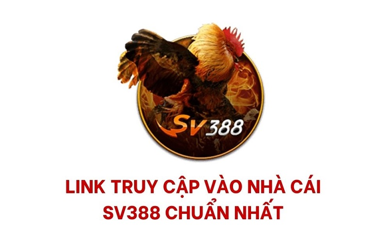 SV388 link truy cập như thế nào